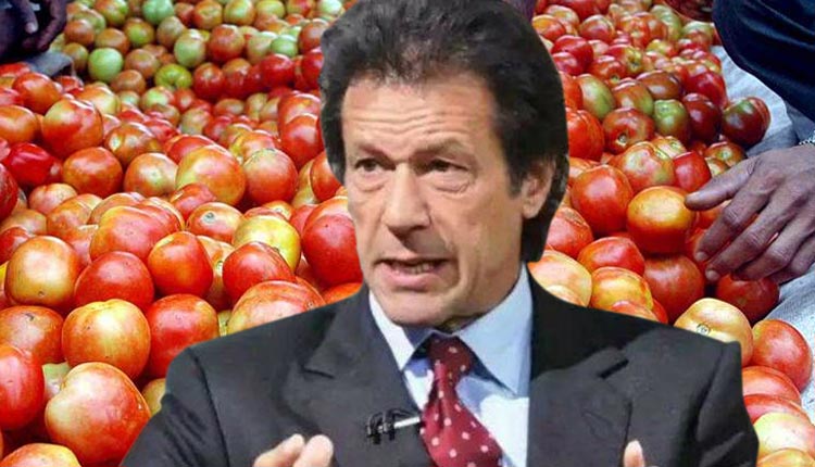 imran-khan-tomato